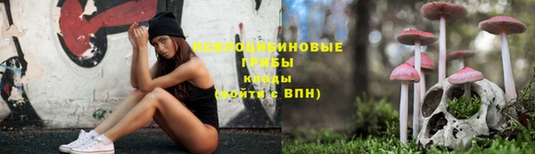 гашик Вязники