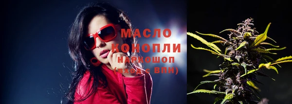 сатива Володарск