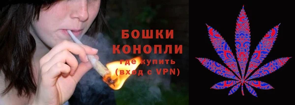сатива Володарск