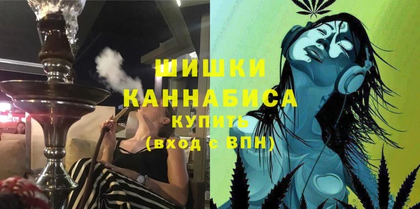 сатива Володарск