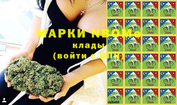 сатива Володарск