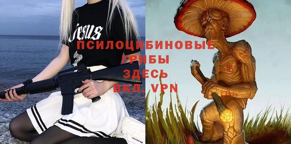 сатива Володарск