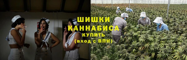 сатива Володарск