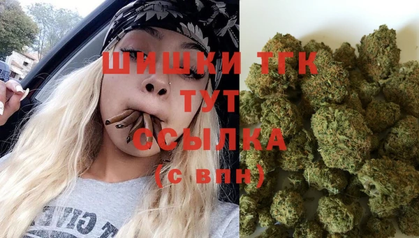 прущая мука Вяземский