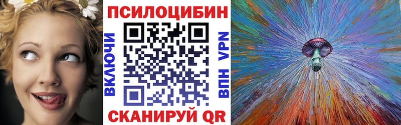 Псилоцибиновые грибы Psilocybine cubensis  Купить где  Лесозаводск 